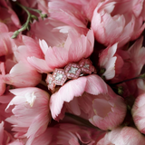 Lotus No. 04 — Blush Ring